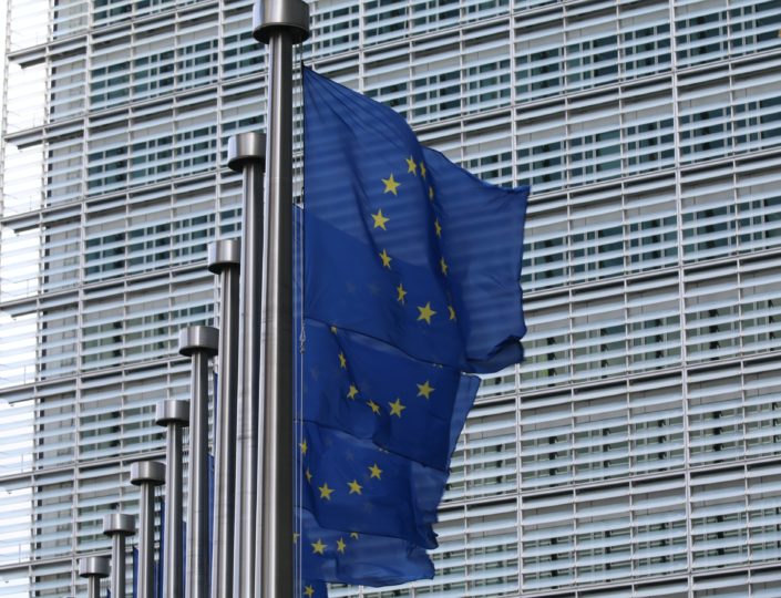 A line of European flags, blue with yellow stars.