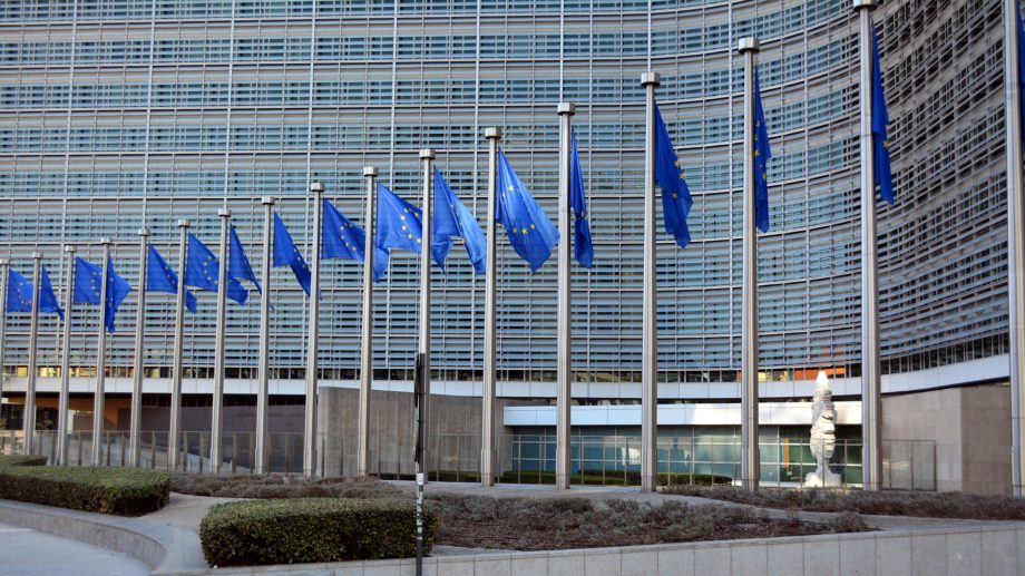 A row of EU flags in their navy colour with yellow stars